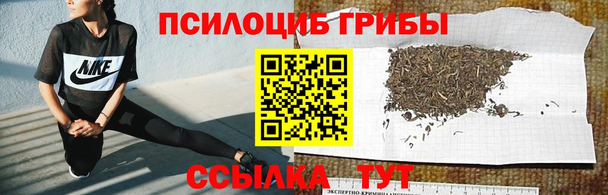 Кимры  Псилоцибиновые грибы Magic Shrooms  Вход с VPN 