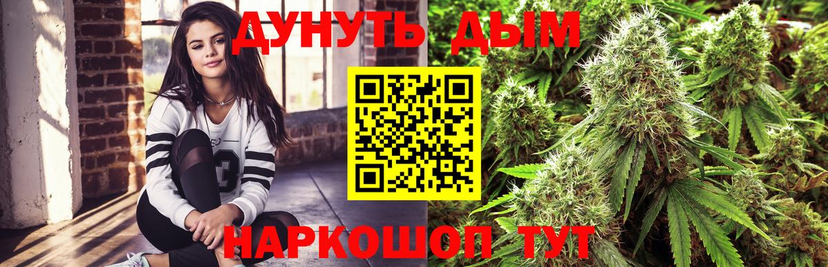 Шишки марихуана план  Каннабис White Widow  Вход с VPN  Кимры 